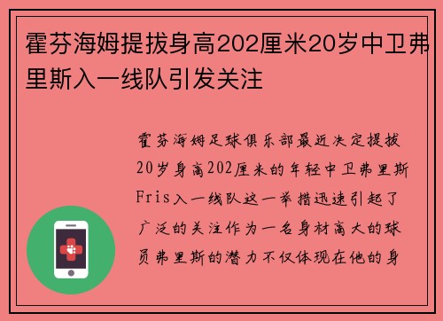 霍芬海姆提拔身高202厘米20岁中卫弗里斯入一线队引发关注